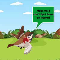 Free online html5 games - Assist The Troubled Bird game - WowEscape