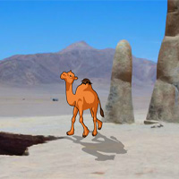 Camel Cave Escape