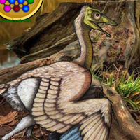 Free online html5 games - Archaeopteryx Bird Forest Escape game - WowEscape