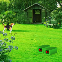 Free online html5 games - Backyard Garden Escape game - WowEscape