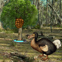 Free online html5 games - Dodo Bird Evolution game - WowEscape