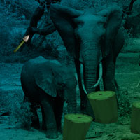 Free online html5 games - Elephant Forest Escape game - WowEscape