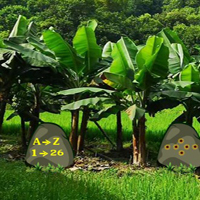 Free online html5 games - Escape From Banana Garden game - WowEscape