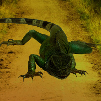 Free online html5 games - Escape from Lizard Forest game - WowEscape 