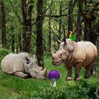 Free online html5 games - Escape From Rhino Forest game - WowEscape