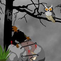 Free online html5 games - Escape Reporter from Devil Forest game - WowEscape