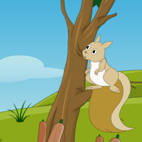 Free online html5 games - Escape Squirrel from American Island game - WowEscape