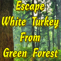 Free online html5 games - Escape White Turkey From Green Forest game - WowEscape