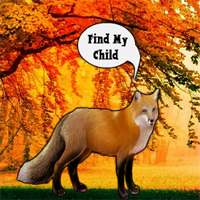 Free online html5 games - Find The Fox Child game 