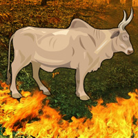 Free online html5 games - Fire Forest Bull Escape game - WowEscape