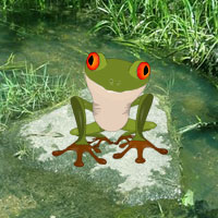 Free online html5 games - Froggy Fun Forest Escape game - WowEscape