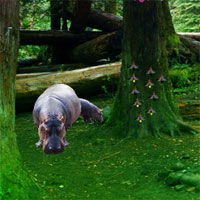 Free online html5 games - Hippo Jungle Escape game - WowEscape