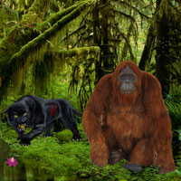 Free online html5 games - Jungle Book Forest Escape game - WowEscape