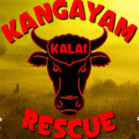 Free online html5 games - Kangayam Kalai Rescue game - WowEscape