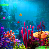 Free online html5 games - Lost Fish Escape 2 game - WowEscape