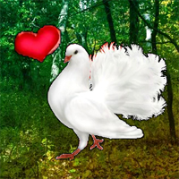 Free online html5 games - Love Pigeon Forest Escape game - WowEscape