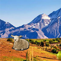 Free online html5 games - Mountain Sheep Escape game - WowEscape