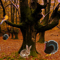 Free online html5 games - Mysterious Turkey Forest Escape game - WowEscape