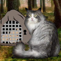 Free online html5 games - Norwegian Cat Forest Escape game - WowEscape