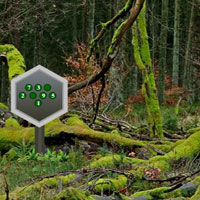 Free online html5 games - Parky Forest Escape game - WowEscape