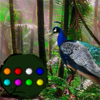 Free online html5 games - Peacock Dance Forest Escape game - WowEscape