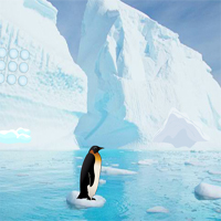 Free online html5 games - Penguin Escape Home Back game - WowEscape