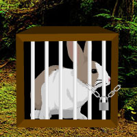 Free online html5 games - Rain Forest Rabbit Escape game - WowEscape