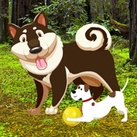 Free online html5 games - Save The Wounded Dog game - WowEscape