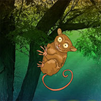 Free online html5 games - Tarsier Fantasy Forest Escape game - WowEscape