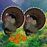 Free online html5 games - Thanksgiving Mom Turkey Escape game - WowEscape