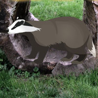 Free online html5 games - Wild Badger Rescue game - WowEscape