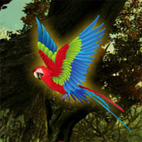 Free online html5 games - Wow Macaw Fantasy Escape game - WowEscape