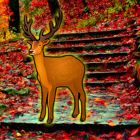 Free online html5 games - WowEscape Save The Deer game - WowEscape