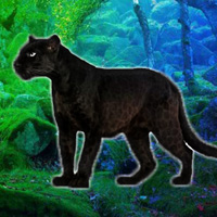 Free online html5 games - WowEscape Save The Panther game - WowEscape