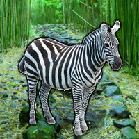 Free online html5 games - WowEscape Save the Zebra game - WowEscape