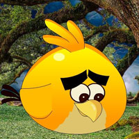 Agony Bird Escape HTML5