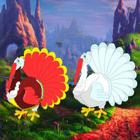 Assist The Turkey Pair