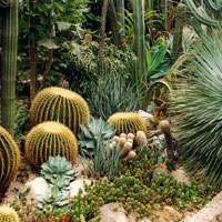 Cactus Garden Escape HTML5