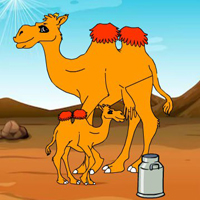 Collect To The Camel Milk HTML5