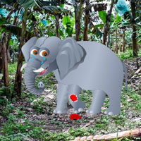 Cure The Baby Elephant HTML5
