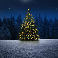 Escape From Christmas Tree Land HTML5