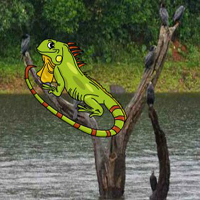 Free online html5 games - Escape From Iguana Forest HTML5 game - WowEscape 