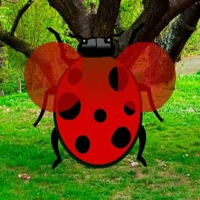 Free online html5 games - Extricate The Lady Bug HTML5 game 