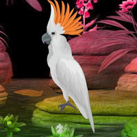 Fantasy White Bird Escape HTML5