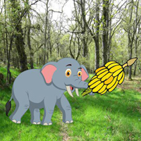 Free online html5 games - Feed The Little Elephant game - WowEscape