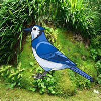 Help The Blue Jay Bird HTML5