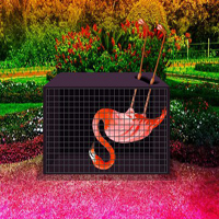 Free online html5 games - Help The Troubled Flamingo Bird HTML5 game - WowEscape