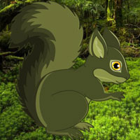 Japanese Forest Squirrel Escape HTML5