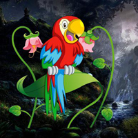 Free online html5 games - Macaw Friends Meetup game 