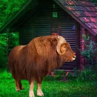 Free online html5 games - Musk Ox Forest Escape HTML5 game - WowEscape